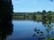 Summer landscape. View of the river, trees, river bank