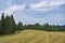 Summer landscape in the Vosges mountains. Forest in haze on the