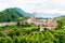 Summer Landscape in Wachau