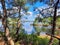 Summer landscape on the wild beach lake between pine trees on the sandy beach