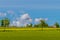 Summer landscape with wind turbines. Sunny rural fields. Renewable energy, environment background concept