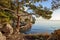 Summer landscape with wooded cliffs by the sea. Black Sea.