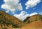 The summer landscape of Zagros mountains and Persian oak forest , Iran