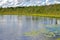 Summer landscapes. Northern lake with swampy shores. Finnish Lapland