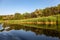 A summer landskape of the pine woods, reeds, reflection in the w