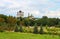 Summer lanscape with grass and trees