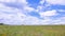 Summer. A large field with grass and a bright sky with white clouds.