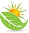 Summer leaf logo