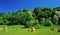 Summer lush tree-covered landscape view with a stack of hays in a field fresh bright lawn