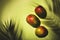 Summer mango fruits top view. Contemporary still life, lime green background, hard light and shadow pattern