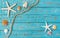 Summer maritime sea decoration background with starfish and seashells on blue wood