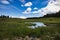 Summer Marsh on Grand Mesa