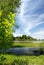 Summer Marsh Scene