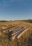 Summer meadow with dry golden grass. Logs laying in the foreground and trees in the background