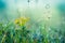 Summer meadow, green grass field and wildflowers, nature background concept, soft focus, cool, cold tones.