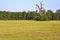 Summer meadow with old dry oaks in the territory of Lower Morava