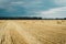 Summer meadow with yellow golden bales of hay bale in the stubble field. Agricultural field and a blue sky with clouds