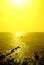 Summer minimalist background, yellow monochromatic glittering sunset on the sea, vertical