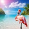 summer mood animal pink flamingo wearing headphone at tropical