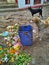 Summer morning dogs eating food on garbage bin