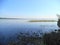 Summer morning on the shore of a picturesque lake