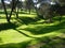 Summer morning soft shadows in park