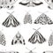 Summer moth seamless vector pattern.