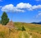 Summer mountain country view Carpathian, Ukraine.