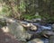 Summer mountain stream Smrecianka creek with stones and boulders, moss, fern and trees in Western Tatras mountains