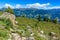 Summer mountain view with green meadow and stones in the foreground. Austria, Tirol, Zillertal