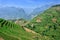 Summer mountains rice terraces in Sapa