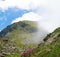 Summer mountainscape with pathway between the rocks and pink flowers of the peaks, and the blue sky with white clouds