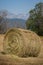 Summer Mowing - Haying Time - Hay Bale