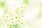 Summer natural background with flowers chamomile, blurred and to