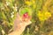 Summer natural refreshing drink with mint strawberries in woman hand