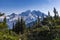 Summer natural scenery of Mount Rainier Sunrise and Paradise.