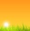 Summer Nature Background with Grass, Sunset