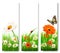 Summer nature banners with colorful flowers and butterfly.