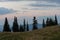 Summer near Chornohora mountain ridge in Carpathian mountains