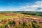 Summer in the North York Moors National Park