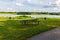 Summer in Omaha, family seating area with grill overlooking the lake  at Ed Zorinsky Lake Park Omaha NE