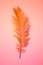 Summer - orange exotic leaf on pink, poster layout