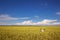 Summer outdoor photo e-bike in gold wheat field