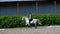 Summer, outdoors, boy rider, jockey riding on thoroughbred beautiful white stallion, horse, on the training sand field