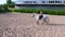 Summer, outdoors, boy rider, jockey riding on thoroughbred beautiful white stallion, horse, on the training sand field