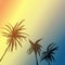 Summer palm california dream. sunset background.