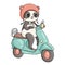 Summer panda on blue moped in pink helmet