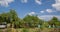 Summer panorama of a rural house and garden