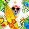 Summer paradise vacation surfer dog