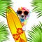 Summer paradise vacation surfer dog